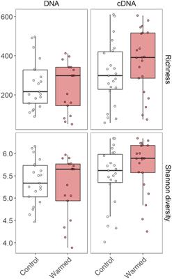 The Total and Active Bacterial Community of the Chlorolichen Cetraria islandica and Its Response to Long-Term Warming in Sub-Arctic Tundra